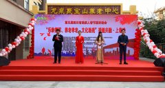 <strong>第五届四川省残疾人春节联欢晚会在蓉举</strong>