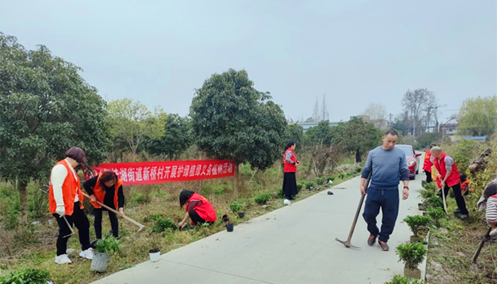 图片9_副本.png