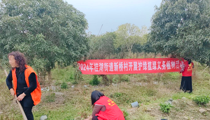 图片10_副本.png