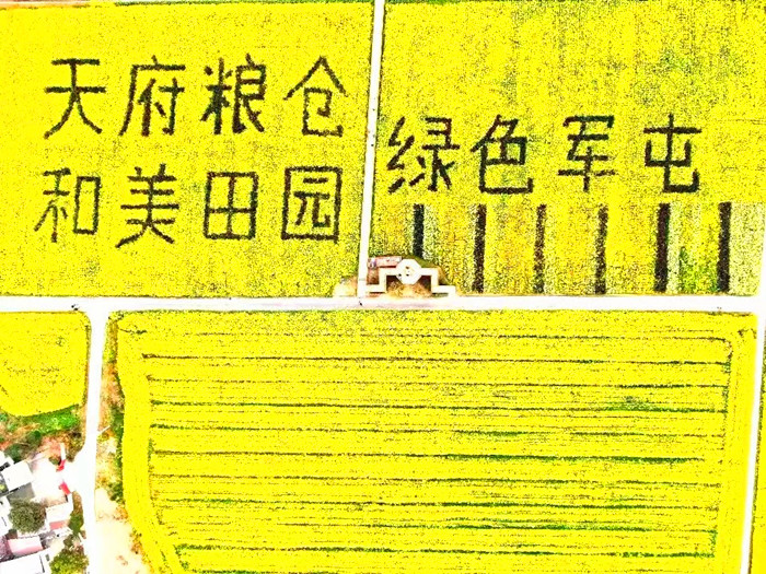 微信图片_20240315200635_副本.jpg