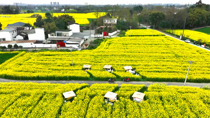 微信图片_20240315200626_副本.jpg