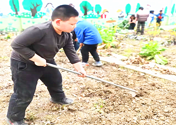 图片4_副本.png