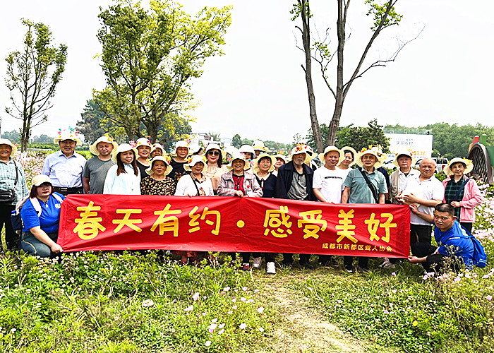 图片8_副本.png