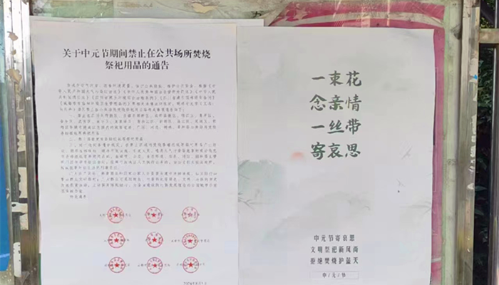图片8_副本.png