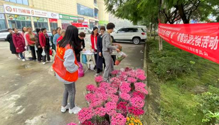 图片10_副本.png