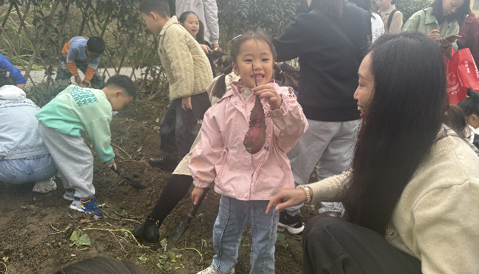 图片2_副本.png