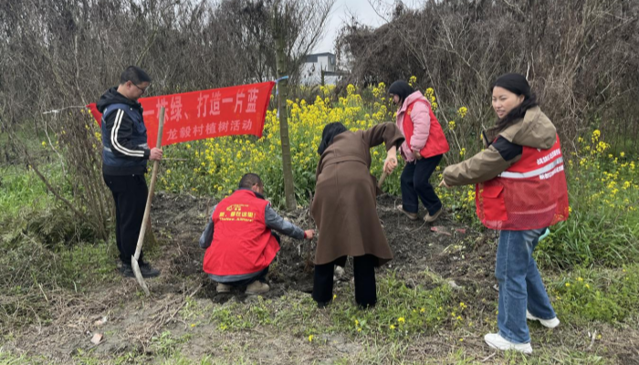 图片4_副本.png