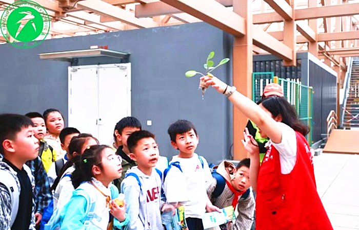 图片8_副本.png