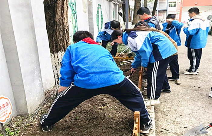 图片8_副本.png