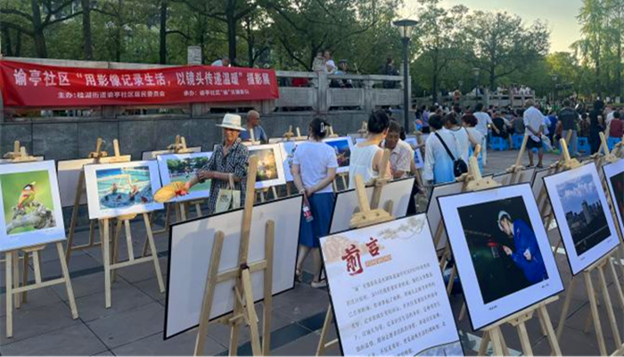 图片18_副本.png