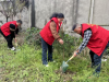 成都市新都区新繁街道同心村关工委植树节志愿植树活动