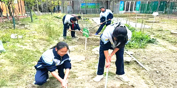 成都市新都区旃檀中学关工委开展“檀香园 春耕忙•种下希望盼秋实”劳动教育活动