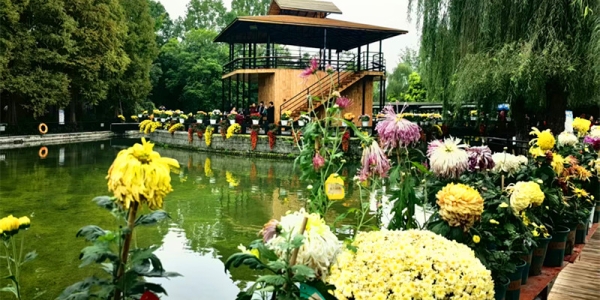 《汉宫春·温江菊花园赏菊》