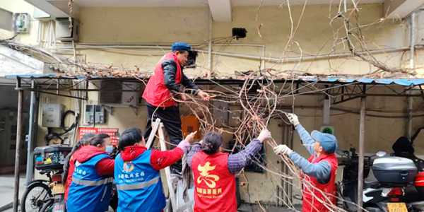 成都市新都区桂湖街道锦水苑社区关工委 开展“迎新春 展新颜”大扫除活动