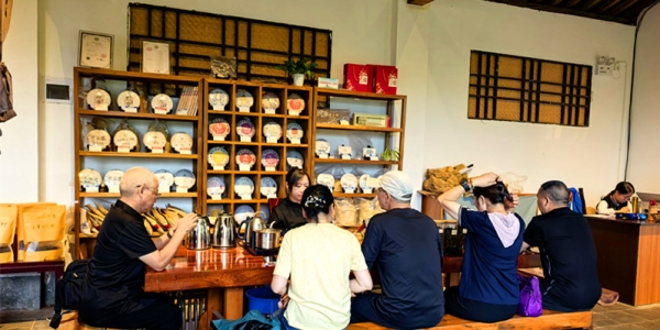 《行香子·中华普洱茶博览苑记游》