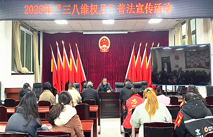 图片8_副本.png
