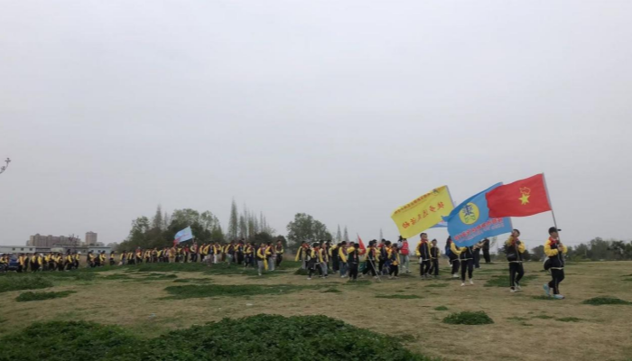 图片1_副本.png